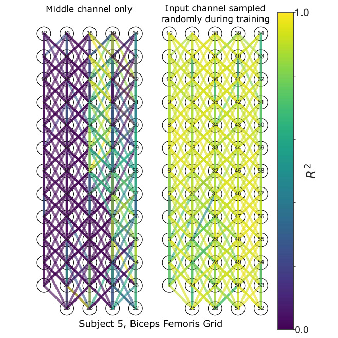 Black and white picture of high-density electromyography grid placements on a subject, and motion capture marker placements.