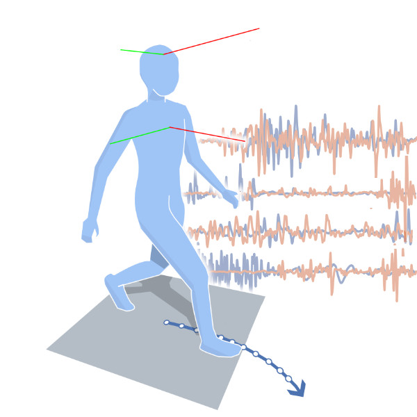 A visual abstract illustrating body posture and EMG, and the walking path they are used to predict.