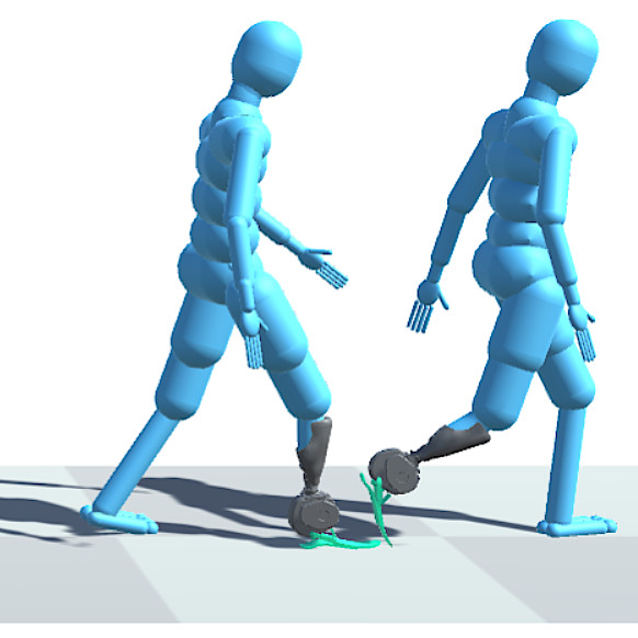 An image of simulated prosthesis user progressing from footflat to toe-off phase of gait.